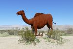 PICTURES/Borrega Springs Sculptures - Horses, Sheep & Camel/t_P1000376.JPG